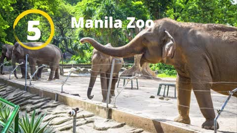 Top 25 Tourist Attractions in Manila (Philippines)- Pandey Tourism