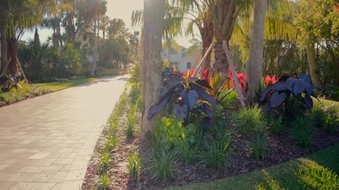 Landscape Design : Wall Residence on Roscoe Rd , Palm Valley Florida