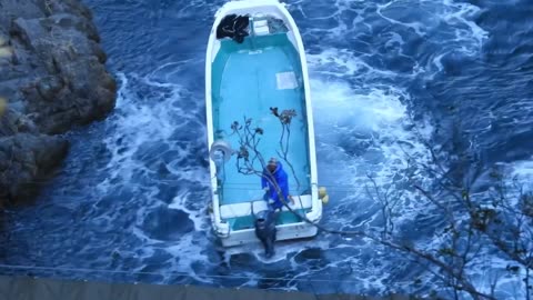 Taiji Japan - A Pod of 20 Striped Dolphins brutal killed