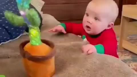 Baby talking to cactus