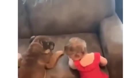 Funny Baby and dog