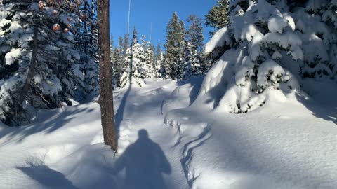 Diamond Snow Sparkle – Central Oregon – Swampy Lakes Sno-Park – 4K