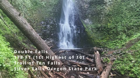 HEIGHT GRAND CHAMPION Double Waterfall! | Trail of Ten Falls | Silver Falls State Park | Oregon | 4K