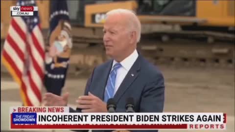 WTF IS JOE BIDEN TRYING TO SAY?