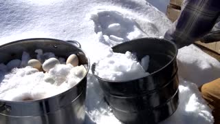 Pickling 350 Eggs - Preserving Food for Winter in Alaska