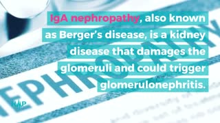 Common Causes Of Glomerulonephritis
