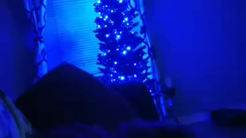 Our blue Christmas