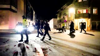 Man with bow and arrow kills five in Norway: police
