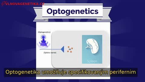 Programové nástroje a technika: optogenetika a magnetogenetika - vlnová genetika