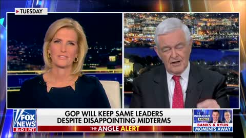 "I blame Mitch McConnell!" Speaker Gingrich Blasts McConnell for Midterms