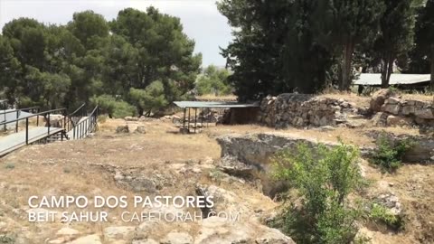 Programa a Biblia no Campo dos Pastores Beit Sachour