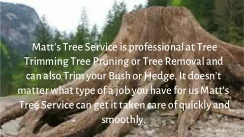 Tree Services