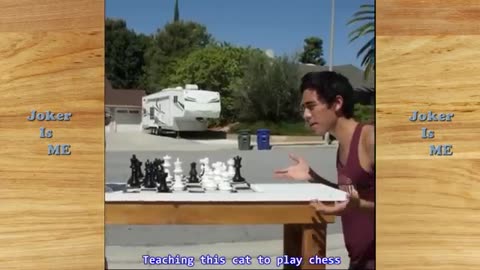 Most satifying zach king magic tricks