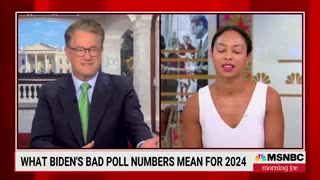 WOW: MSNBC Pushes Watchers To Ignore Biden's Poll Numbers