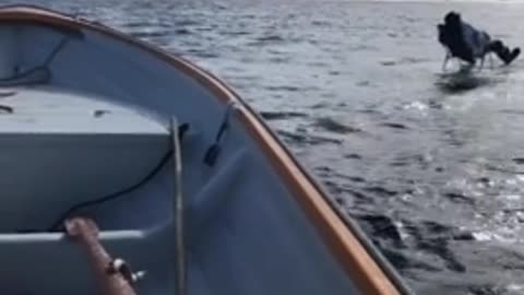 Man Fishes on Ice Block in the Middle of the Lake