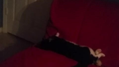 Messing With A Sleeping Cat