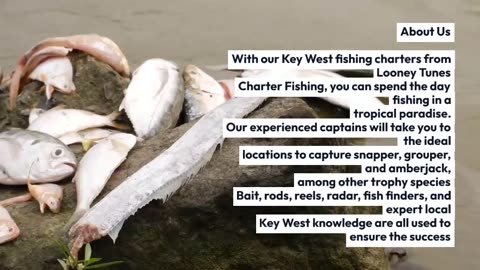 UNCOVERING THE BEST FISHING CHARTERS IN KEY WEST