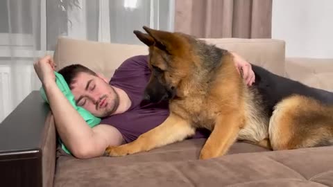 German Shepherd Reacts to My Snoring