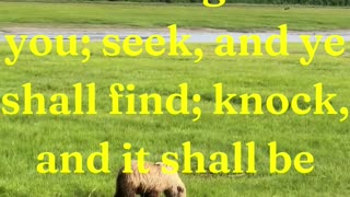 And I say unto you, Ask, and it shall be given you; seek, and ye shall find; knock