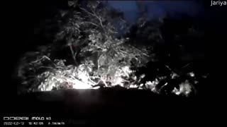 Tree Randomly Falls Down in Front of Moving Car at Night