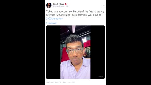 Dinesh D'Souza 2000Mules.com.mp4