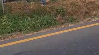 Dos muertos por accidente de moto