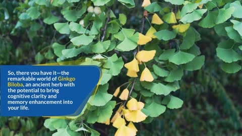 Unveiling Ginkgo Biloba: Memory Boost and Cognitive Clarity