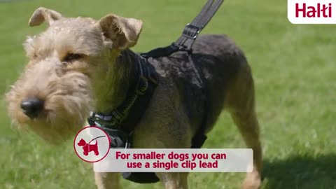 PetSafe Easy Walk No-Pull Dog Harness 🐶🐕- The Ultimate Harness to Help Stop Pulling --