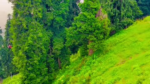 Malam jaba swat view