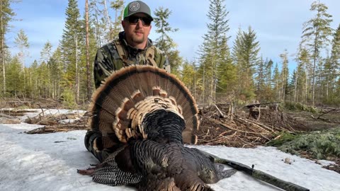 Spring Turkey Hunting 2022 - Idaho Public Land - Marksman's Creed - Ep. 20