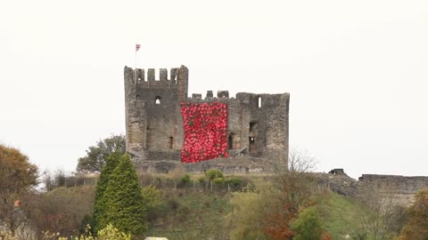 Cascade of poppies unveiled at Dudley Castle in moving Remembrance Day tribute