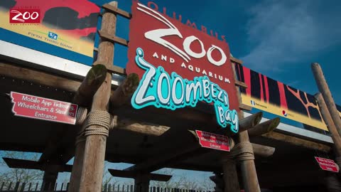 Becoming a Zoo Vet – Dr. Jimmy Johnson Interview