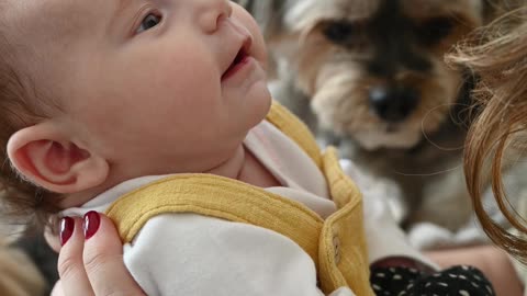 Dogs Baby Mummy Talk happines 😂😂😂😃😃!