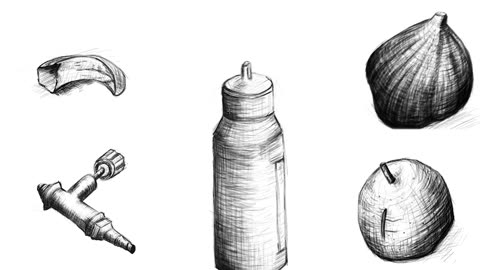 Master Object Drawing with Our Comprehensive Course Series