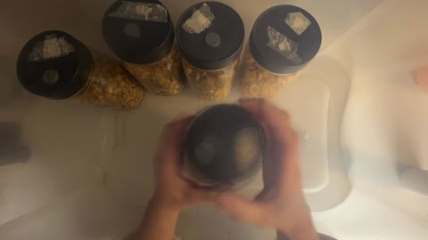 EP6 | Mushroom Mixing - Grain Spawn and Liquid Culture