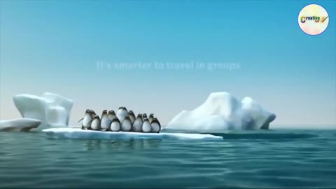 Teamwork and Leadership: An Animated Short Clip from Creative 360