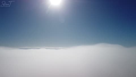Morning Fog over Dalby