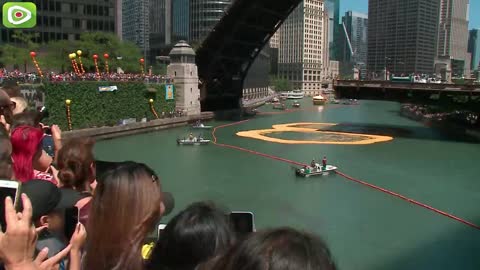 More than 60,000 rubber ducks set sail down the Chicago