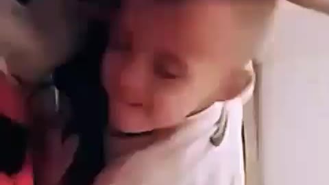 child has fun when playing with his friend Pitbull