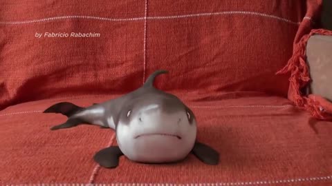 Animals Reaction 2020 utest Baby Shark Happy Shark Funny Shark Cute Baby