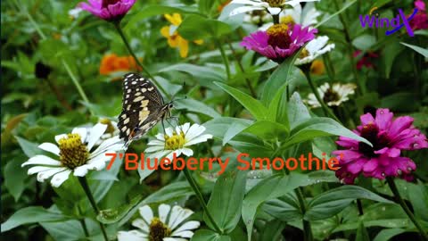 Rose of Sharon flowers for Your gardens Landscape