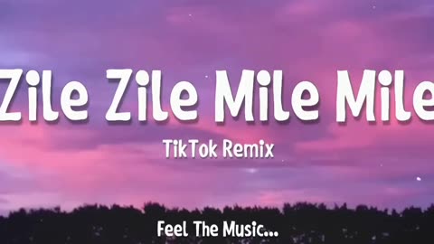 Zili Zili Mile Mile tik tok remix