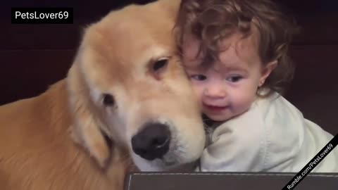 Golden Retriever Puppy and A Cute Baby Love Each Other so Much😍😘😚😙😗😺😸😻😽🙈🙉🙊👼❤