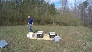 Placing the Hives