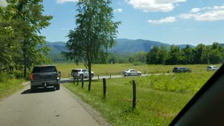 Cades Cove 4