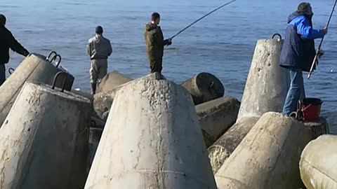 Fishermen catch a big sprat in the Baltic sea. 5-6 fish to the bait.