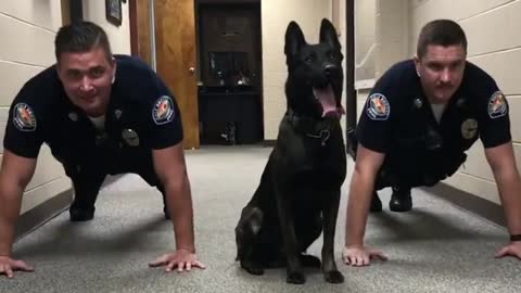 Alabama Police Dog Shows Officers How To Do Push-Ups