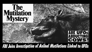 The UFO connection with animal mutilations discussed by Jim Lorenzen (APRO), 1979