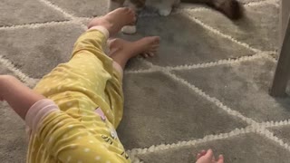 Kitty and Toddler Have a Blast Together