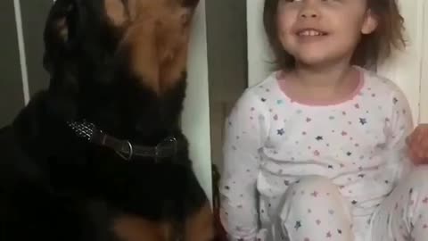 Rotweiler barking moment